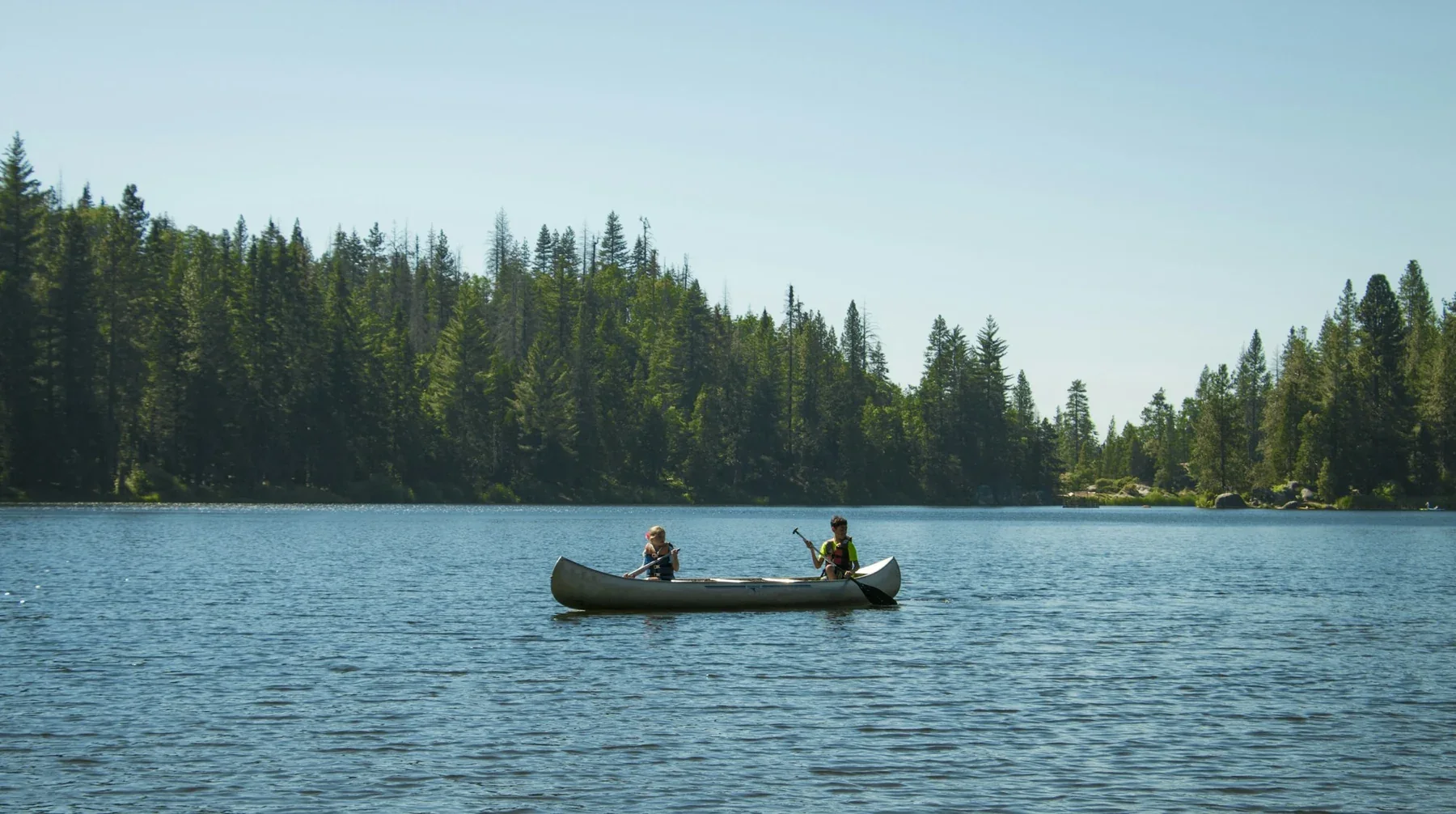 Dos personas remando en un lago rodeado de bosque